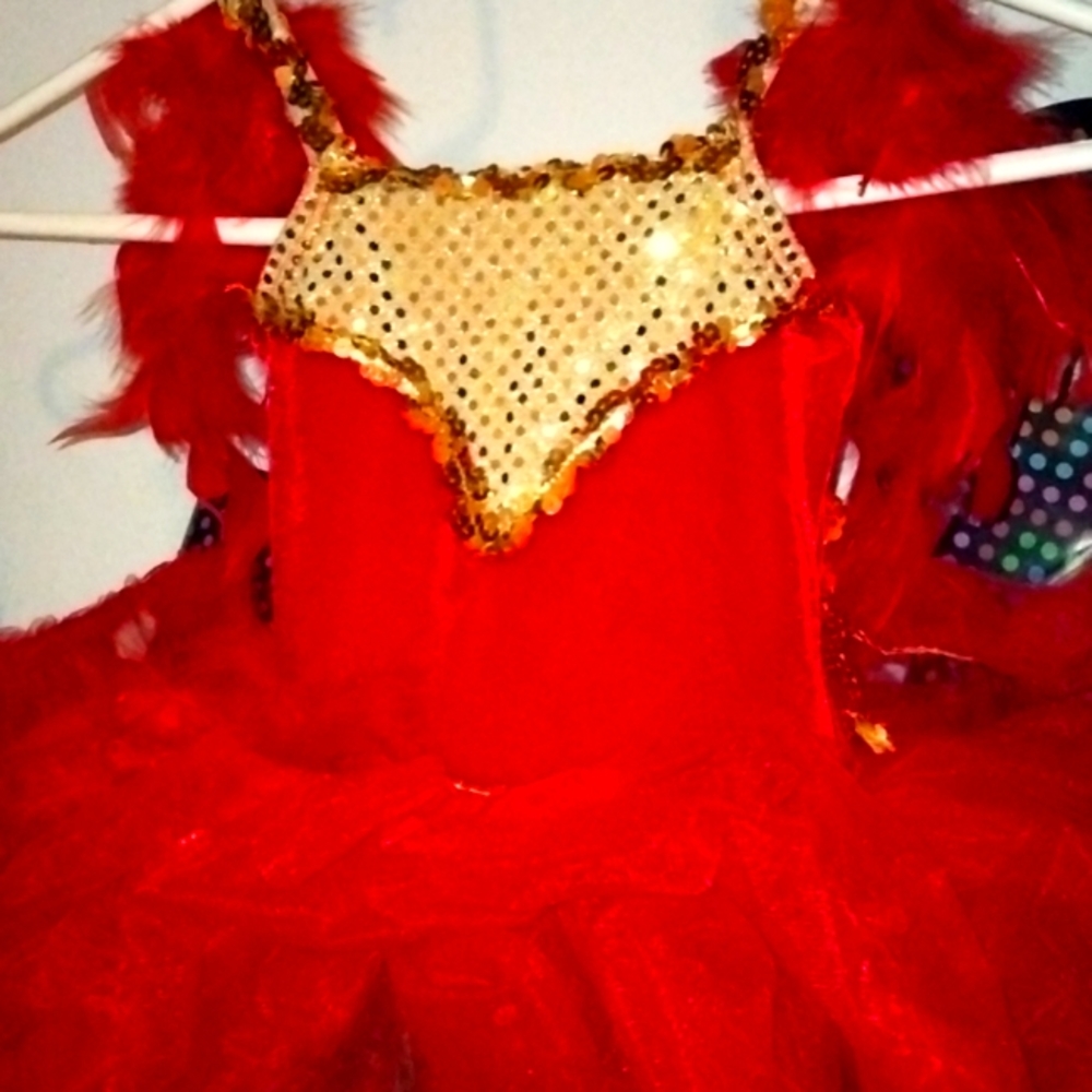 Red Feather Pageant Kid Costume